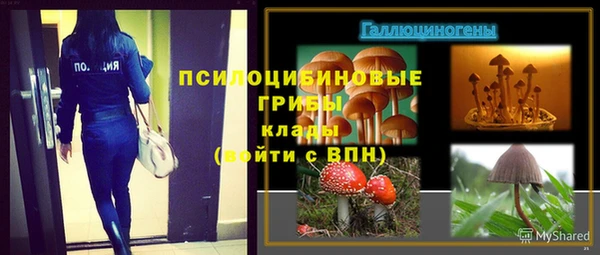 ECSTASY Зерноград