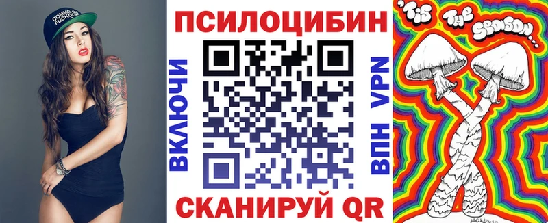Купить  Боровичи  Галлюциногенные грибы GOLDEN TEACHER 